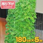 緑のカーテン　吊り下げ　幅180cm×高さ5m （ グリーンカーテン ）
