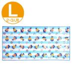 ■在庫限り・入荷なし■レジャーシート　くまのがっこう　ルルロロ　Lサイズ　TINY TWIN BEARS　キャラクター （ ピクニックマット レジャーマット 敷物 ピ