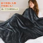 電気毛布 敷き 掛け兼用 140cm*80cm 加厚フランネル PSE認証済み 8段階温度調整 5分急速発熱 切り忘れ防止タイマー付き 洗濯可能 防寒対策 暖房器具 lx-ny234