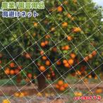  птица .. сеть защита от птиц сеть 5m*10m птица избежать сеть садоводство .. сеть огород сеть прозрачный сеть долговечность веранда сельское хозяйство сопутствующие товары . входить . пробег предотвращение двор lx00519