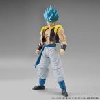 Figure-rise Standard 超サイヤ人ゴッド超サイヤ人ゴジータ【プラモデル】【バンダイ】