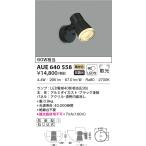 ( наличие есть )AUE640558 экстерьер подвижный светильник 60W соответствует лампа цвет LED лампа возможно заменить type не style свет защита от дождя type черный Koizumi освещение 