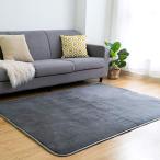VK Living カーペット ラグ ラグマット 絨毯 200×250cm(約3畳) 洗える 滑り止め付 防ダニ 抗菌 防臭 1年中使えるタイプ 床暖房 ホットカーペット対