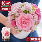 ショッピングプリザーブドフラワー プリザーブドフラワー ギフト 結婚祝い 誕生日 プレゼント 女性 母 退職 新築祝い 花 結婚記念日 バラ 結婚祝い Premium Rose Pink ブリザードフラワー