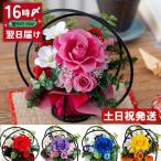  новогодние каникулы предприятие японский стиль консервированный цветок . календарь зеленый . старый ... зонт . рис ... белый . белый . подарок ... работа праздник . цветок кейс .... цветок маленький блок бесплатная доставка 