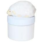 シネマコレクション cinemacollection リ