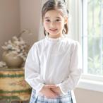 キャサリンコテージ Catherine Cottage やわらかカットソーブラウス （スタンドカラー長袖[OWT3]）