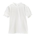 キャサリンコテージ Catherine Cottage やわらかカットソーブラウス （スタンドカラー半袖[OWT4]）