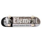  Element ELEMENTchi-ta- секция Complete скейтборд 8 скейтборд ( ассортимент )
