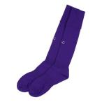 ガビック GAViC サッカー用ユニフォームソックスBIGサイズ （PPL）