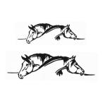  джодхпур zJODHPURS шланг стикер (...... лошадь ) ( черный )