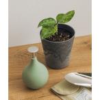  Urban Research дверь zURBAN RESEARCH DOORS amabro ART STONE SSS GY ( серый )