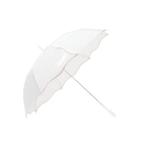 ダブリュピーシー Wpc. 傘 レディース 雨傘 おしゃれ かわいい きれい ブランド 大きめ 長傘 ビニール傘 60cm 軽量 クリア 透明 ビニー