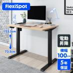 昇降デスク 電動式 FlexiSpot EF1 スタ