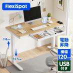 スタンディングデスク FlexiSpot ew8 昇降デスク 電動 オフィスデスク パソコンデスク デスク 高さ調節 電動昇降デスク 学習机 勉強机 電動式 昇降 昇降テーブル