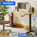 昇降デスク 手動 120  FlexiSpot H1 手動