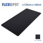 FLEXISPOT オフィスデスク用天板 DIY用天板 学習机 勉強机 スタンディングデスク120×60cm