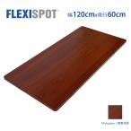 FLEXISPOT オフィスデスク用天板 DIY用天板 学習机 勉強机 スタンディングデスク120×60cm