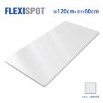 FLEXISPOT オフィスデスク用天板 DIY用天板 学習机 勉強机 スタンディングデスク120×60cm