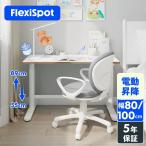 学習机 勉強机 シンプル 子供 昇降デスク FlexiSpot SD1 キッズデスク 机 デスク おしゃれ 高さ調節 電動昇降デスク スタンディングデスク 作業台 幅80 100cm