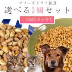 ※同梱不可 初回限定 1000円ポッキリ 送料無料 おやつ 無添加  国産（北海道産） フリーズドライ納豆  ひきわり/丸大豆 選べる3個セット