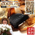 【新発売ｐ10倍】黒にんにく 無選別 にんにく 青森県産 青森福地ホワイト6片種 バラ 500g 黒ニンニク 国産  青森産 送料無料 訳あり お試し A品 ※メール便