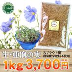 生ゴールデンフラックスシード（亜麻の実）1kg