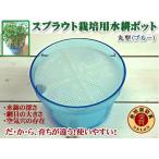  ростки pot круглый ( маленький )