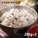  прорастание 10 злаки Hokkaido производство 250g×2 пакет синий неочищенный рис неочищенный рис ячмень маленький бобы чёрный большой бобы большой бобы чёрный рис красный рис соба . нет . местного производства почтовая доставка бесплатная доставка 