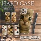 Galaxy S8 SCV36 ケース ハード スマホケース 猫 ねこ ドアップ かわいい ペット スマホカバー
