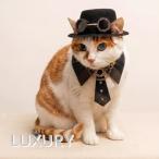  пар punk steampunk для домашних животных аксессуары кошка * собака для защитные очки есть шелк шляпа Mini шляпа джентльмен шапочка симпатичный костюм шляпа фотосъемка Mai шт. фотосъемка для 