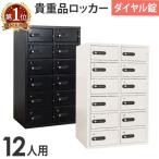 送料無料 ロッカー キャビネット ダイヤル錠 金庫 No.検索キー付き 2列6段 12人用 貴重品ロッカー 貴重品入れ ホテル 小物一時保管庫 貴重品保管庫 LK-312W