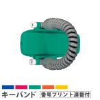  юридическое лицо ограничение ключ частота ключ *o* Mate R K(ka) ru код модель номер принт полосный номер есть опция KEYB-RK-PR