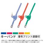  юридическое лицо ограничение ключ частота ключ *o* Mate S номер принт полосный номер есть опция KEYB-S-RB