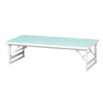 soldout キッズテーブル 平板脚タイプ 幅1200×奥行600mm 座卓 子供用 キッズ向け 折りたたみテーブル 作業テーブル 保育園 幼稚園 幼児教室 FCK-1260