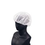 �w�A�[�l�b�g�@�L���b�s�[�@F-2A�@���@�\�t�g�^�C�v�@100�����@SKY-42