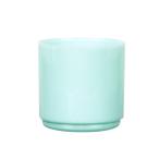 シヤチハタ ネーム9 印面キャップ ペールグリーン XL-9/C4PC  シャチハタ