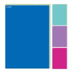 A4 学校下じき 下敷き 文具 小学生 男の子 女の子 小学校 入学 学童用品 子供 授業 ノート 学習 勉強 定規 目盛り付き 日本製