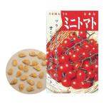 知育玩具 野菜の種 ミニトマト 種 たね 野菜 ミニトマトのたね ガーデニング 菜園 栽培 学習教材 理科