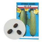 野菜の種 ヘチマ 種 たね 野菜 ヘチマのたね 種子 へちま ガーデニング 家庭菜園 栽培 学習教材 理科 小学校 子供 学校教材