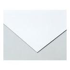 キャンバス 片面キャンバスボード8切