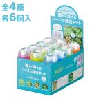 種から育てるハーブの栽培キットカプ...