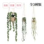  дезодорация a-tifi автомобиль ru зеленый e прозрачный висячий модель искусственная зелень дезодорация человеческий труд декоративное растение произведение искусства смешанные товары подвешивание ниже искусство оборудование орнамент модный .