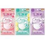 三次元マスク 小さめ 