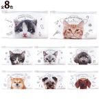 マスクケース 抗菌 日本製 持ち運び 携帯 仕切り付き アンティ マスクポーチ キャラクター フラットポーチ ねこ ネコ 猫 犬 いぬ おしゃれ ブラ