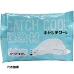 TRY 保冷剤 キャッチクール200g [HC-200] HC200 販売単位：1