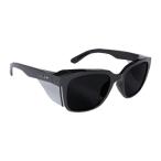 bolle 保護メガネ STKS410 BLACKGLOSS FRAME SMOKE LENS [STK41N20A] STK41N20A  販売単位：1