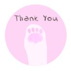  беспокойство стал наклейка .. кошка 24 листов симпатичный подарок ..