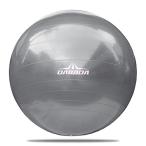 DABADA(ダバダ) バランスボール エクササイズボール ヨガボール 直径65cm 全5色 フットポンプ付き (シルバー)