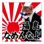 na. кошка ( Fukushima .....). данный земля стикер A-18